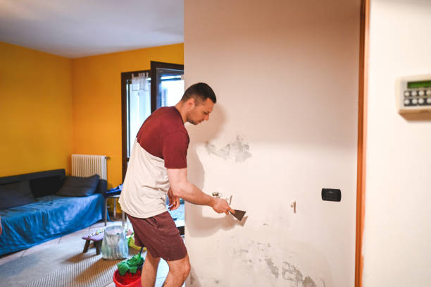 Best Industrial Mold Remediation in Bodega Bay, CA